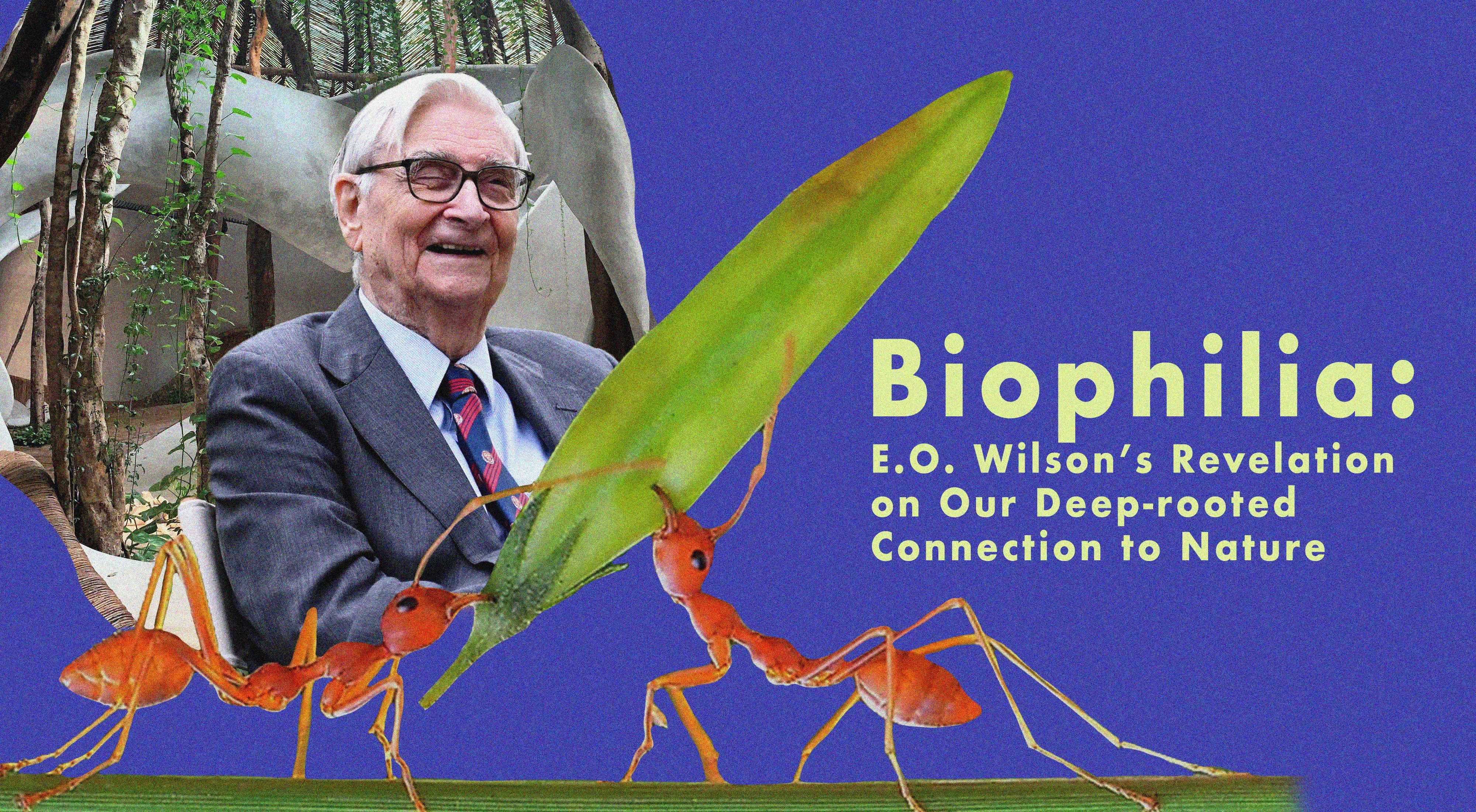 Life After Life explores Edward O. Wilson's Biophilia Hypothesis and its impacts on the built environment today